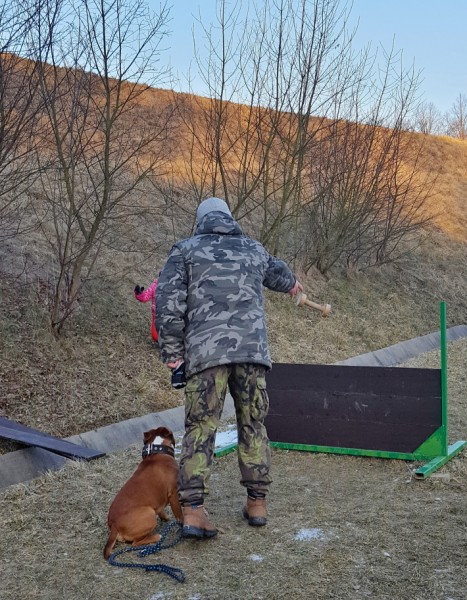 Nová videa ve videogalerii